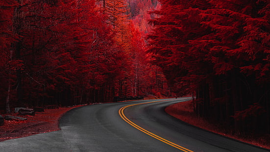 صنع الإنسان ، طريق ، شجرة صنوبر ، أحمر ، شجرة، خلفية HD HD wallpaper