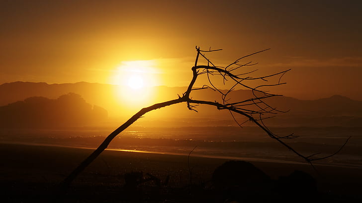 silhouette photo of leafless tree during golden hour, Sunset, West Coast, beach, silhouette, photo, tree, golden hour, driftwood, evening, Haast, Mussel Point, New Zealand, ocean, Okuru, sand  sea, Southern Alps, sunshine, surf, waves, nature, mountain, landscape, asia, HD wallpaper