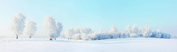 neve, alberi, paesaggio, inverno, Sfondo HD