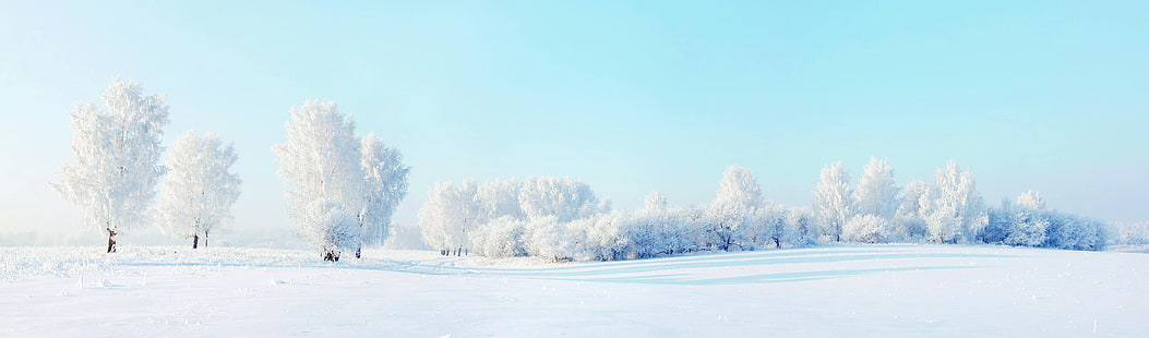 снег, деревья, пейзаж, зима, HD обои HD wallpaper