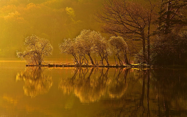 painting of green leafed trees, trees, young, island, yellow, reflection, water, ripples, HD wallpaper