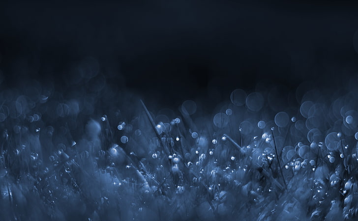Scintille notturne, sfondo digitale con rugiada dell'acqua sull'erba, Aero, Bokeh, Blu, Erba, Oscurità, Macro, Prato, Cianotipo, Sfondo HD