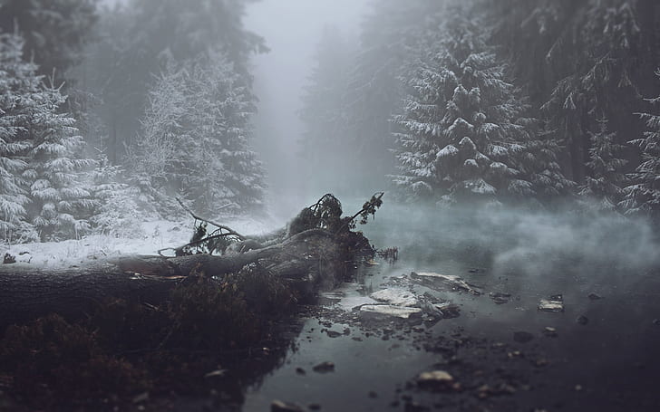 Зимняя магия, дерево, лес, вода, река, туман, HD обои