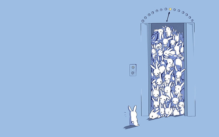 Lapin blanc dans papier peint ascenseur, ascenseur, lapins, humour, simple, minimalisme, bleu, oeuvre, Fond d'écran HD