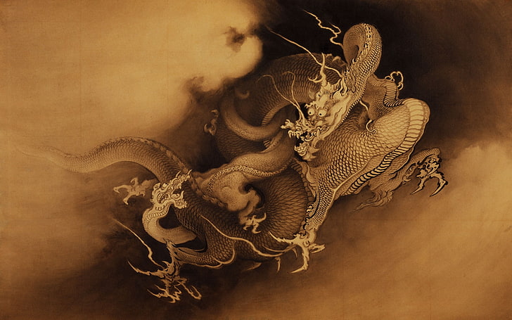 dragão, dragão chinês, HD papel de parede