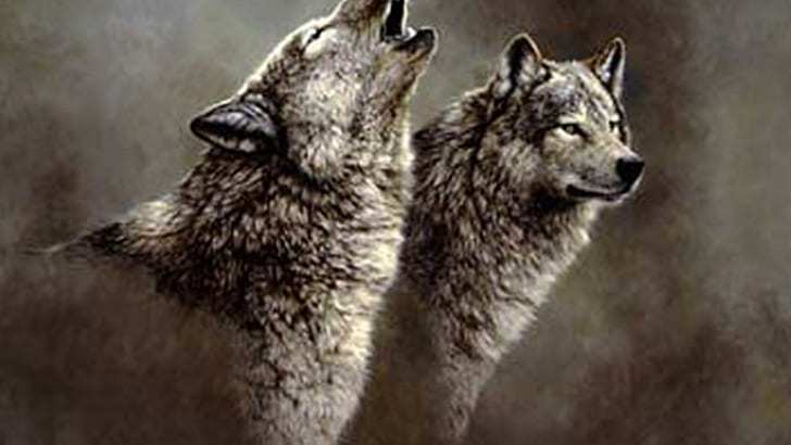Wolf Song, zwierzęta, fantasy, szary wilk, natura, wycie wilków, dzika przyroda, szczenięta, 3d i abstrakcja, Tapety HD