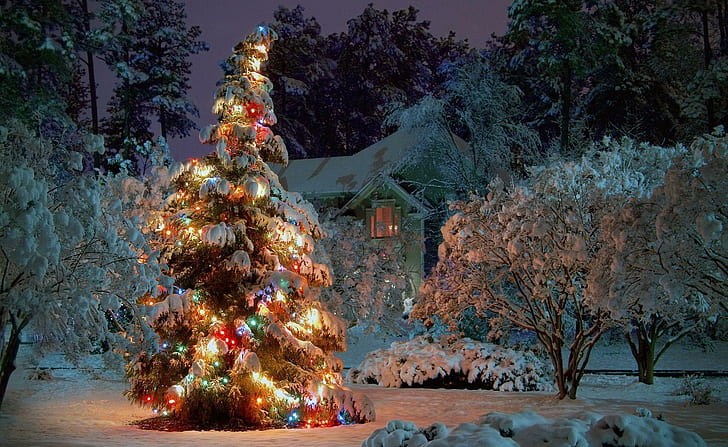 Новый год, Рождество, елка, ночь, праздник, дом, красота, Новый год, Рождество, елка, ночь, праздник, дом, красота, HD обои