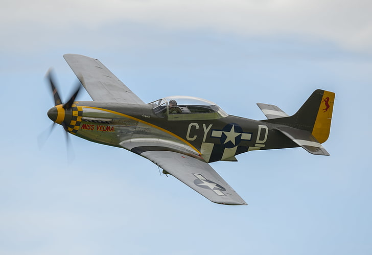 Mustang, luchador, P-51D, soltero, Fondo de pantalla HD