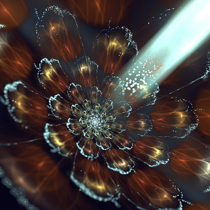 3D Fractal Flower, 3d, графика, фрактальный цветок, лучи, сноп, свет, боке, HD обои