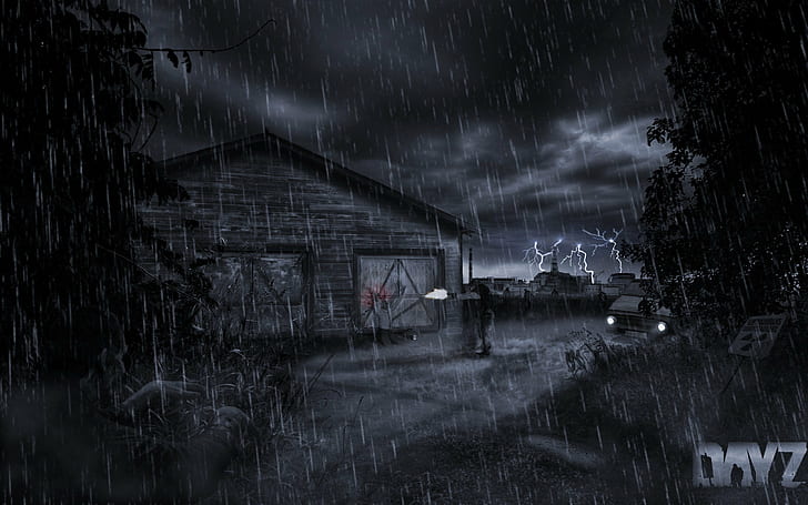 dayz, execution, game, games, horror, lonely, manipulation, photo, rain, shot, silent, video, zombies, HD wallpaper