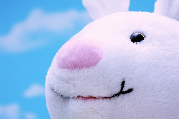 white rabbit plush toy close-up photo, Happy Easter, white rabbit, plush toy, close-up, photo, Easter Bunny, Bunny  rabbit, cc, JD, clouds, blue, btp, image, picture, fluffy, cute, animal, white, HD wallpaper