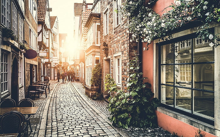 منزل خرساني بني ، حضري ، شارع ، مرصوف بالحصى ، شمس ، ضوء الشمس ، هولندا ، نافذة ، زهور بيضاء، خلفية HD