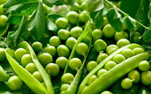 grünes Gemüse, Erbsen, Hülse, Lebensmittel, HD-Hintergrundbild HD wallpaper