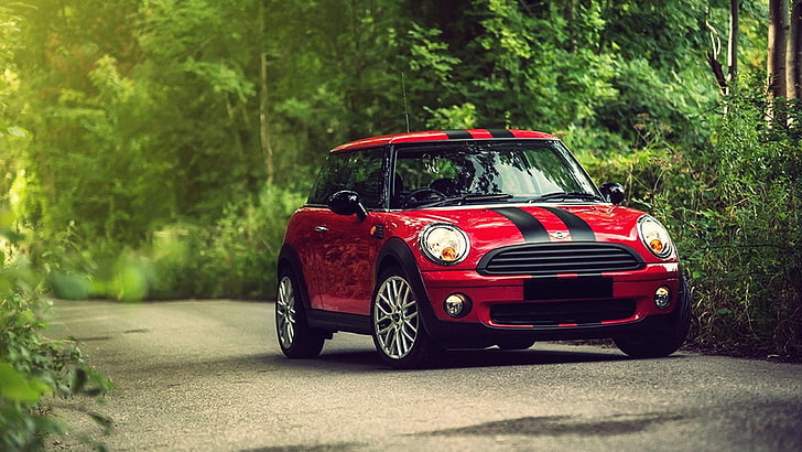 vermelho e preto Mini Cooper na estrada, carro, Mini Cooper, listras, vermelho, estrada, natureza, floresta, veículo, HD papel de parede