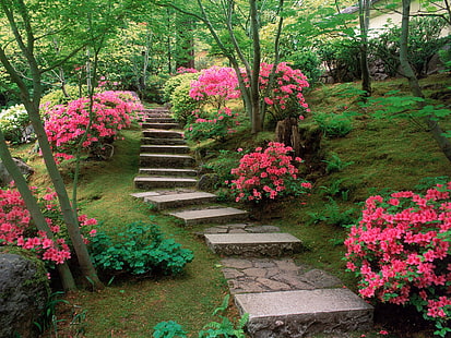 Azaleas Japanese Garden HD, ดอกไม้, สวน, ญี่ปุ่น, ชวนชม, วอลล์เปเปอร์ HD HD wallpaper