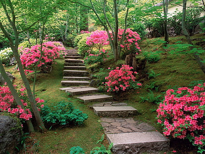 Azaleas Japanese Garden, Japanese, Garden, Azaleas, Fondo de pantalla HD HD wallpaper