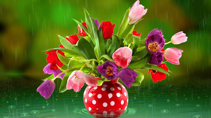 Photography, Still Life, Colorful, Pink Flower, Purple Flower, Rain, Red Flower, Tulip, Vase, HD wallpaper