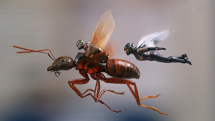 Antman and Wasp, Ant-Man and the Wasp, 4k, HD wallpaper
