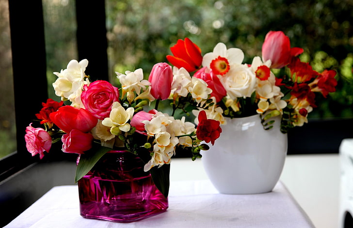 red and white roses, roses, freesia, flowers, daffodils, tulips, bouquets, vases, HD wallpaper