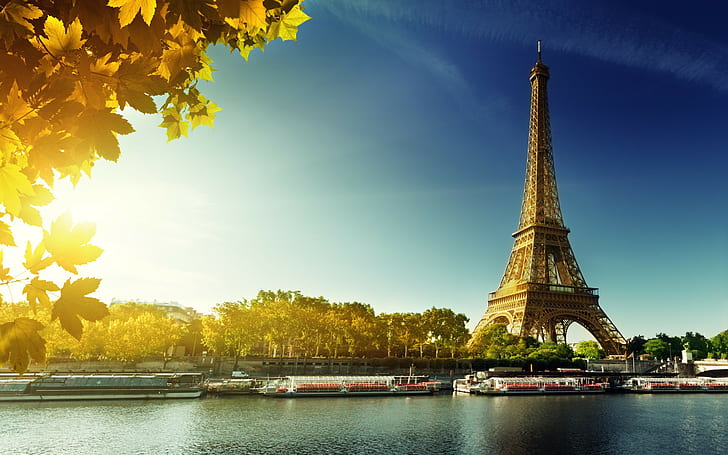 Paryż, Wieża Eiffla, Francja, Paryż, Wieża Eiffla, Francja, Jesień, liście, Tapety HD