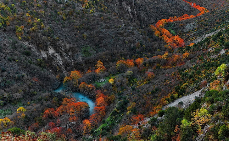 red and green leaf trees, aerial photo of river, mountains, river, nature, fall, gorge, trees, landscape, orange, yellow, green, blue, HD wallpaper