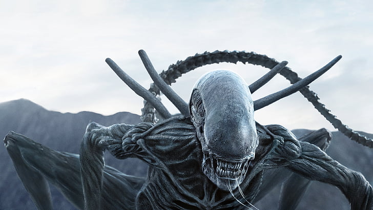 Alien movie scene, Alien: Covenant, 2017, 4K, HD wallpaper