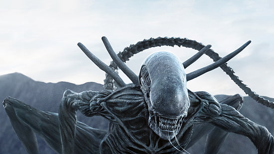 Cena de filme alienígena, Alien: Covenant, 2017, 4K, HD papel de parede HD wallpaper