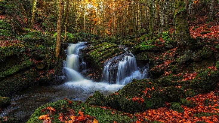 Volon Vill France พฤศจิกายนฤดูใบไม้ร่วงหินที่มีมอสสีเขียวต้นไม้อาดิดาสใบไม้แดงสตรีมน้ำตกในแม่น้ำภูมิทัศน์ธรรมชาติ 3840 × 2400, วอลล์เปเปอร์ HD