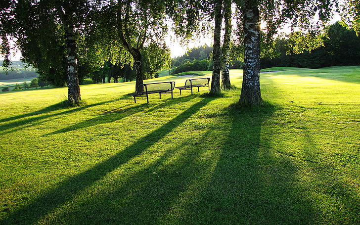 две черни метални пейки, зеленина, лято, трева, морава, зеленина, изглед, дал, равнина, пространство, бреза, пейки, слънчев ден, HD тапет