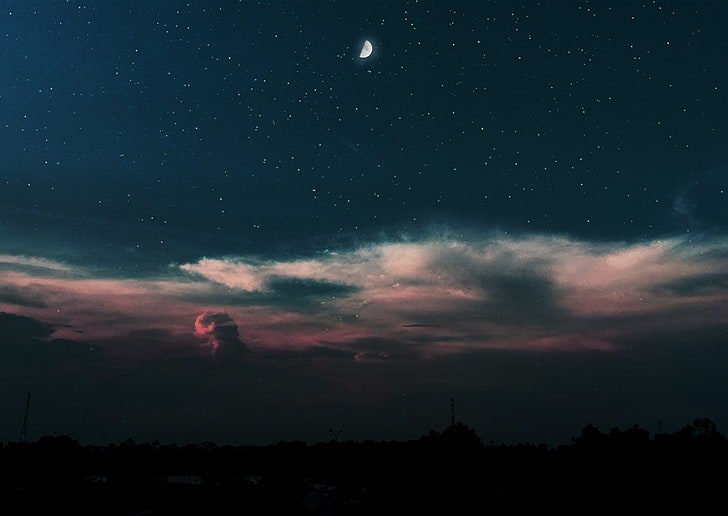 صورة ظلية شجرة ، ليلة مرصعة بالنجوم ، الليل، خلفية HD