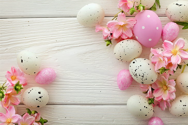 Blumen, Eier, Ostern, Frühling, HD-Hintergrundbild