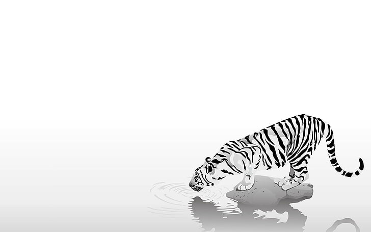 fond d'écran tigre blanc et noir, tigre, minimalisme, fond simple, Fond d'écran HD