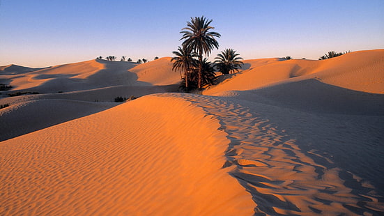 واحة الطبيعة الصحراوية 1920x1080 صحارى الطبيعة HD الفن والطبيعة والصحراء، خلفية HD HD wallpaper