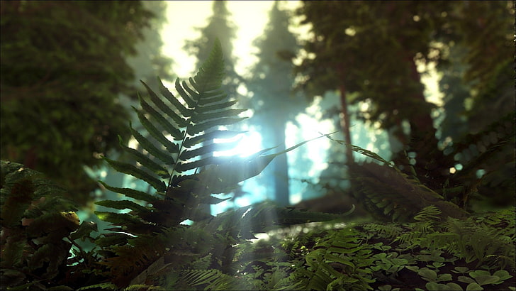 Videospel, ARK: Survival Evolved, HD tapet