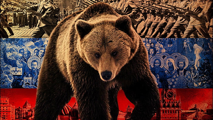 иллюстрация медведя гризли, Россия, HD обои