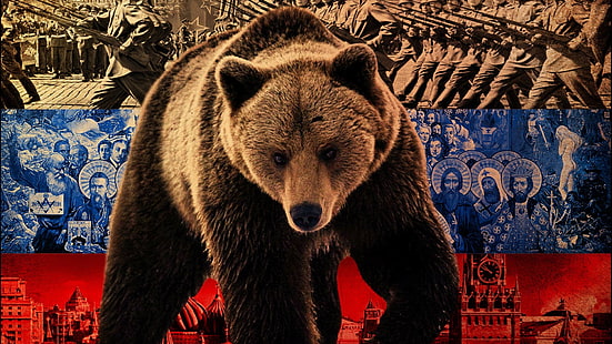 grizzly bear illustration, Russia, HD wallpaper HD wallpaper