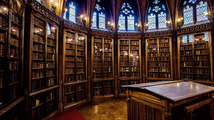 library, public library, building, john rylands library, manchester, window, antiquarian, england, victorian gothic, united kingdom, gothic, HD wallpaper