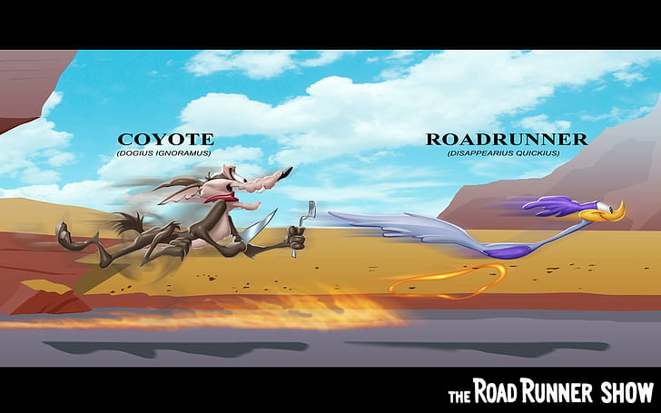 Programa de televisión, Looney Tunes, Wile E. Coyote y The Road Runner, Fondo de pantalla HD