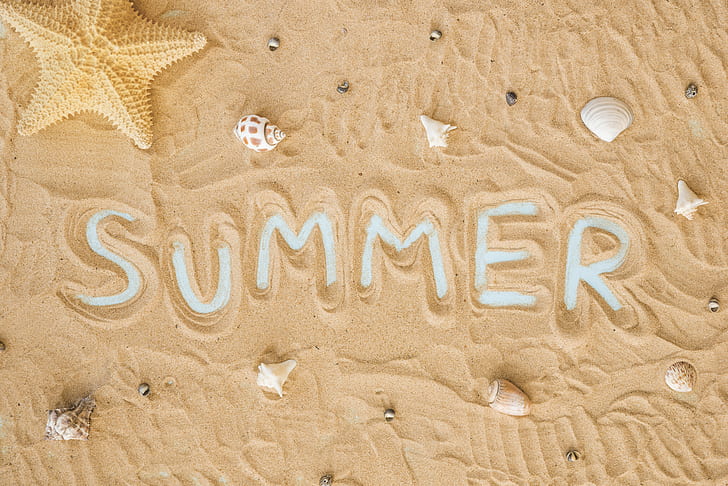 sand, beach, background, texture, shell, summer, starfish, seashells, HD wallpaper
