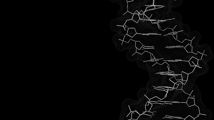 ilustrasi garis putih, DNA, sains, minimalis, karya seni, Wallpaper HD