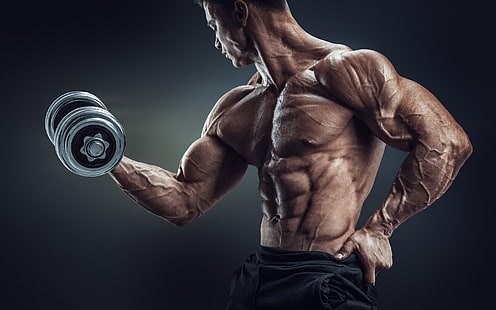 Workout Bodybuilder, schwarze Hose für Männer, Sport, Bodybuilder, Workout, HD-Hintergrundbild HD wallpaper
