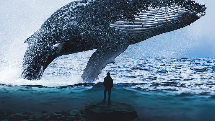 สีน้ำเงิน, 4k, 8k, ความฝัน, ปลาวาฬ, วอลล์เปเปอร์ HD