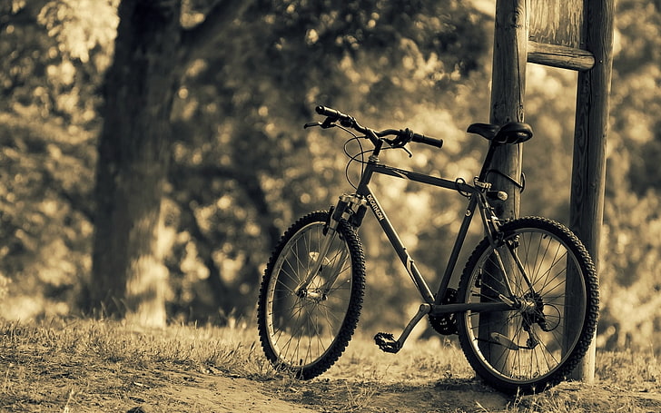 sepeda hitam, daun, pohon, alam, sepeda, latar belakang, pohon, layar lebar, Wallpaper, olahraga, blur, sepeda, berbeda, layar penuh, wallpaper HD, layar penuh, Wallpaper HD