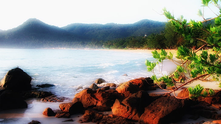 Grünpflanze, Strand, Sand, Meer, Berge, HD-Hintergrundbild