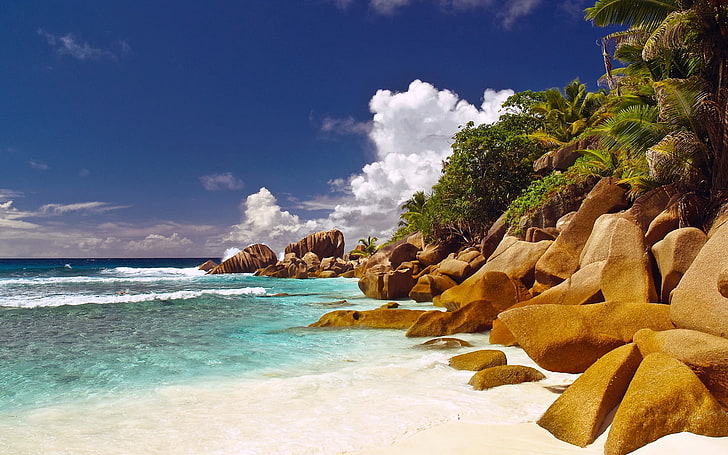 водно тяло и кафяви скали, камъни, камъни, крайбрежие, плаж, синя вода, палми, тропици, HD тапет