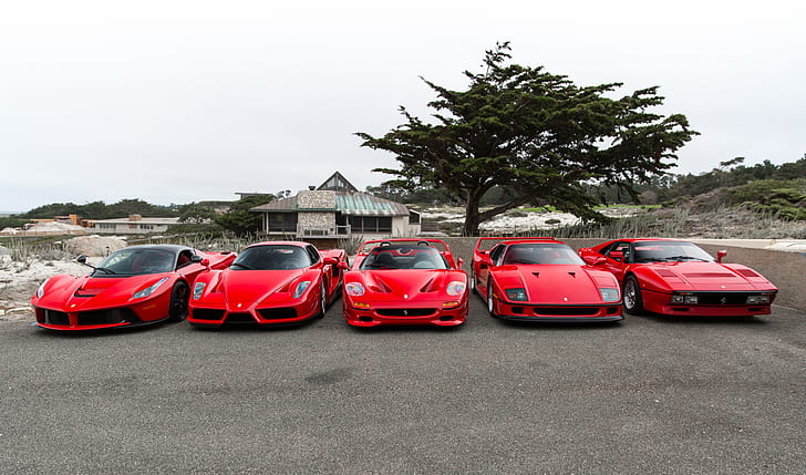 Ferrari, F40, Enzo, Italia, RED, F50, LaFerrari, 288 GTO, HD wallpaper