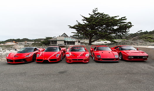 Ferrari, F40, Enzo, Italia, RED, F50, LaFerrari, 288 GTO, HD wallpaper HD wallpaper