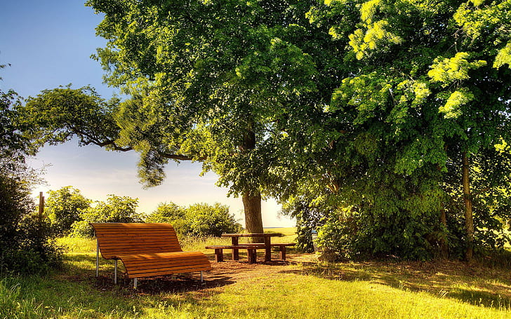 Sunny day Bench, landscape, nature, sunny, bench, HD wallpaper