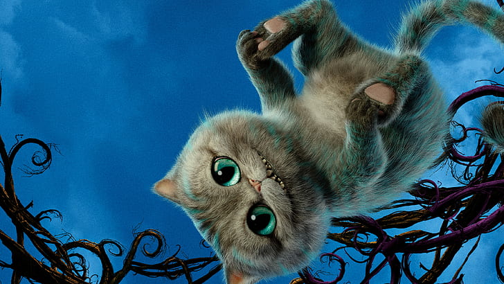 imagen genial del gato de Cheshire 4k, Fondo de pantalla HD |  Wallpaperbetter