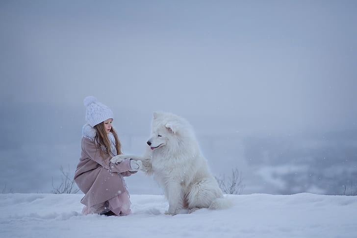 zima, śnieg, pies, dziewczyna, przyjaciele, Samoyed, Tapety HD